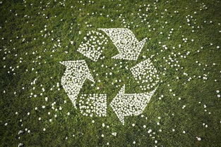 東湖高新集團(tuán)園區(qū)企業(yè)鼎業(yè)環(huán)保榮獲五項(xiàng)國家實(shí)用新型專利，助力環(huán)保技術(shù)推廣服務(wù)